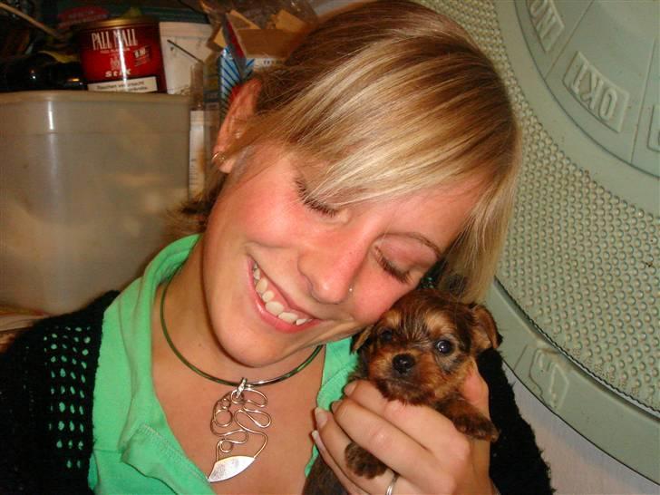 Blanding af racer Miki - Miki da vi så ham første gang. 1 mdr. gammel. billede 16