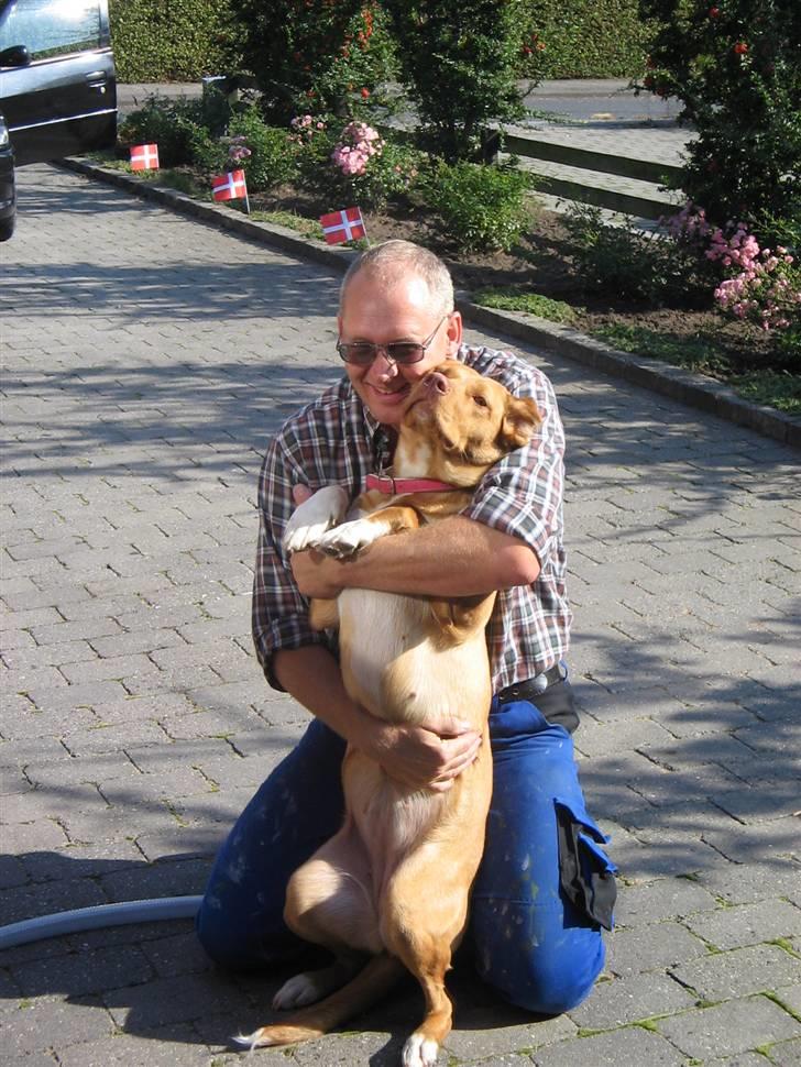 Blanding af racer Bella billede 10