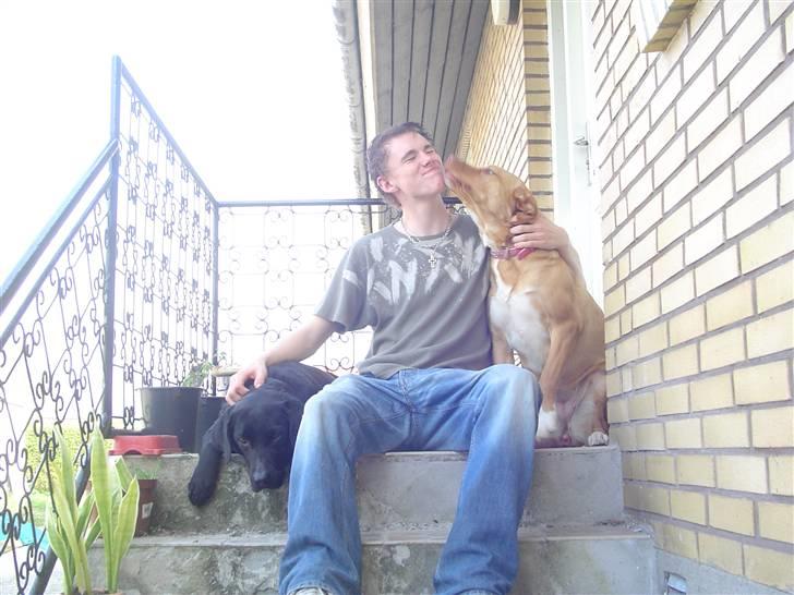 Blanding af racer Bella billede 11