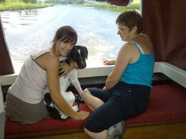 Blanding af racer Max billede 18