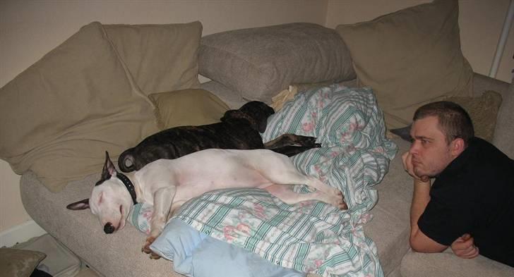 Blanding af racer Cane Carter billede 3