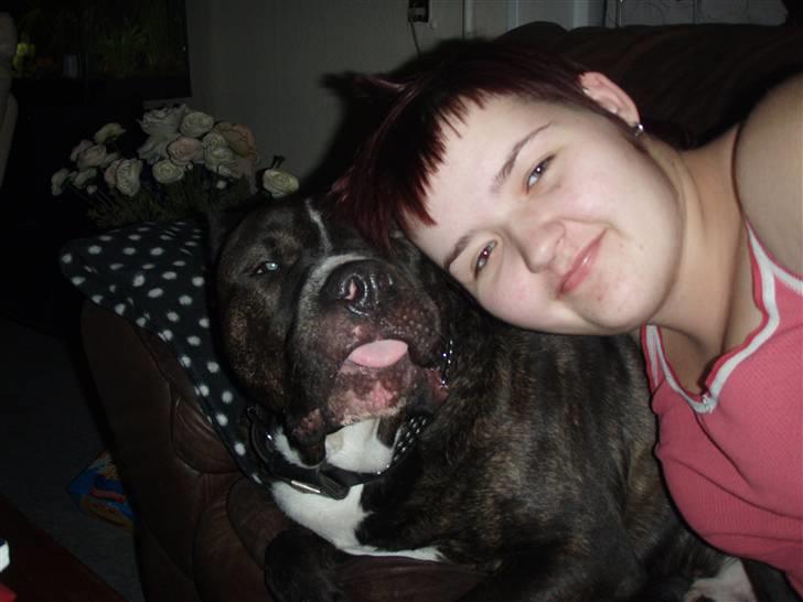 Cane corso obelix - min mor & mig billede 14