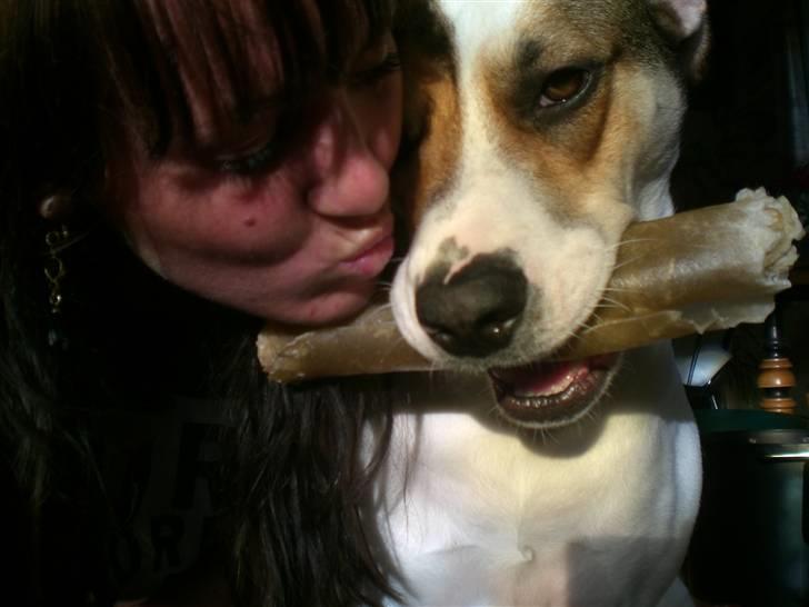 Blanding af racer Freja billede 1