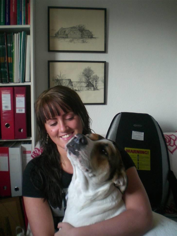 Blanding af racer Freja billede 3