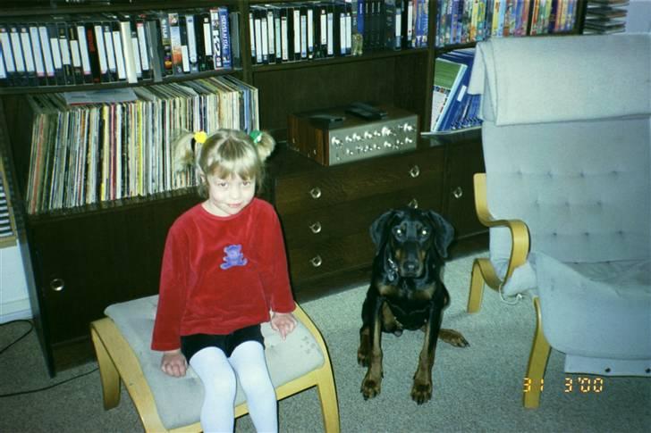 Dobermann Pretty *R.I.P* billede 2