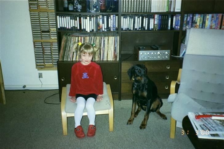 Dobermann Pretty *R.I.P* billede 4