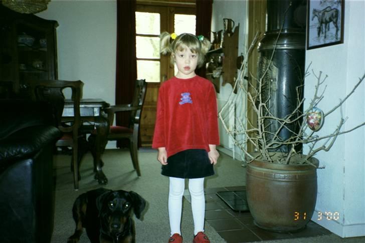 Dobermann Pretty *R.I.P* billede 5