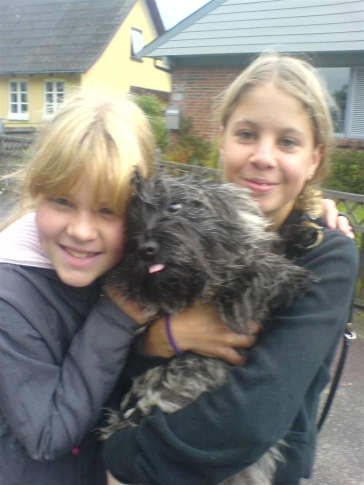 Blanding af racer Chili - Min bedste veninde, Chili og mig (:<3 . Elsker jer<3 billede 3