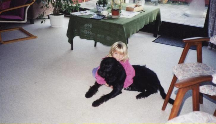 Blanding af racer Sisse R.I.P - et billed fra da vi fik hende.. hun var bare så sød.. :) det er hun stadig..  billede 4