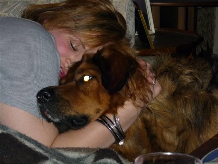 Blanding af racer Baloo - Super Loppen billede 13