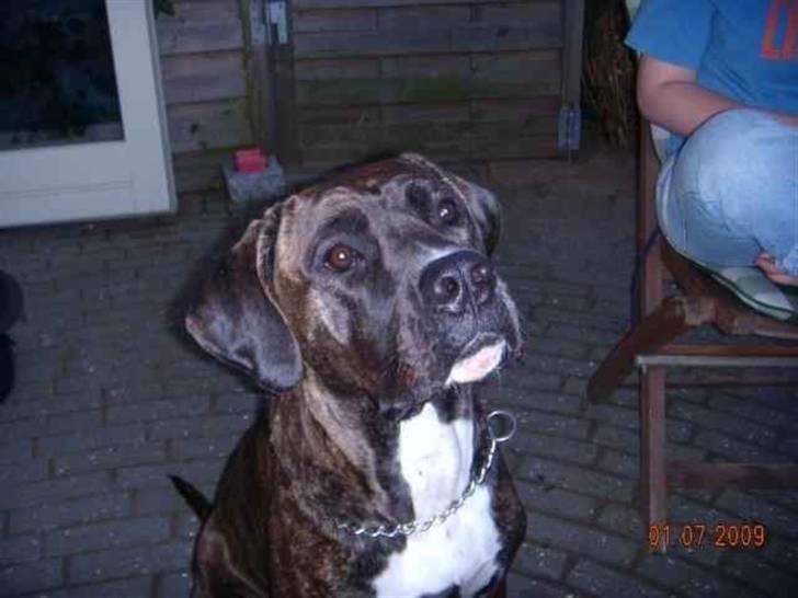 Blanding af racer My billede 1