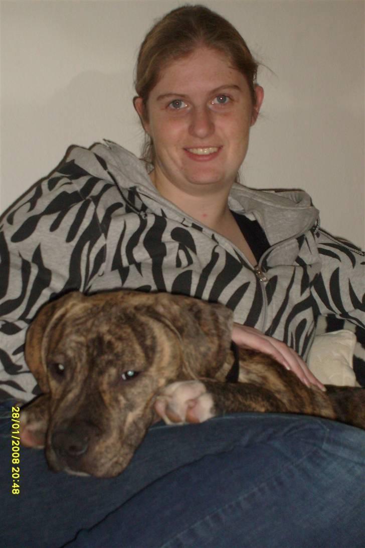 Blanding af racer cena R.I.P billede 4