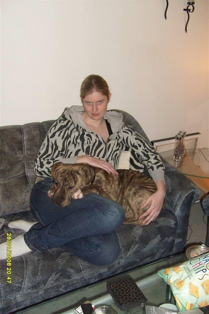 Blanding af racer cena R.I.P billede 5