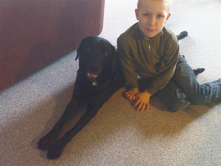 Labrador retriever Tayson - min lille bror og Tayson<3;) billede 4