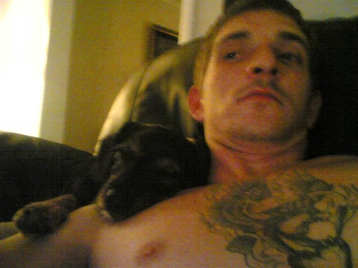 Blanding af racer jensen billede 19