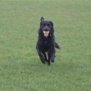 Blanding af racer Era