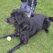 Blanding af racer Era