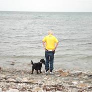 Cocker spaniel Cirkeline