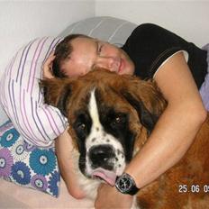 Sankt bernhardshund Eddie<3333 :')