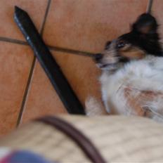 Blanding af racer Trylle<'33