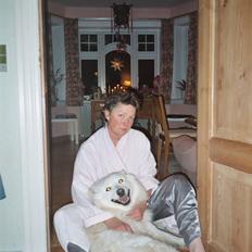 Samojedhund Taiga Himmelhund