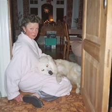 Samojedhund Taiga Himmelhund