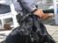 Labrador retriever Sammi R.I.P  - Ligger lige og tager en slapper ude i haven :´) <3