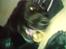 Labrador retriever lucky R.I.P )= - du er fanme savnet skatt<3