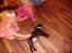 Labrador retriever Bailey - Bailey 7 uger gammel