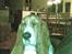 Basset hound columbus - Lidt fred så jeg kan få min skønhedssøvn -tak!!!!