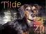 Blanding af racer Tilde