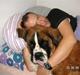 Sankt bernhardshund Eddie<3333 :')