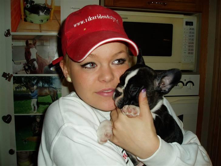 Fransk bulldog william - sov godt min skat :'( - viser stolt min lille prins frem. billede 7