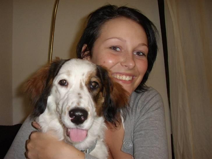 Blanding af racer Bailey billede 14