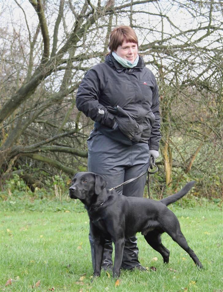 Labrador retriever Anton Skjødt - Mig og mor på klikkerkursus Dch kolding billede 1