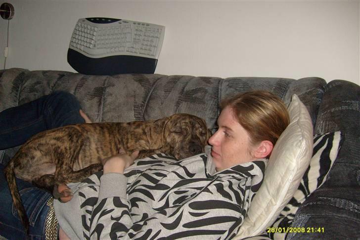 Blanding af racer cena R.I.P billede 13