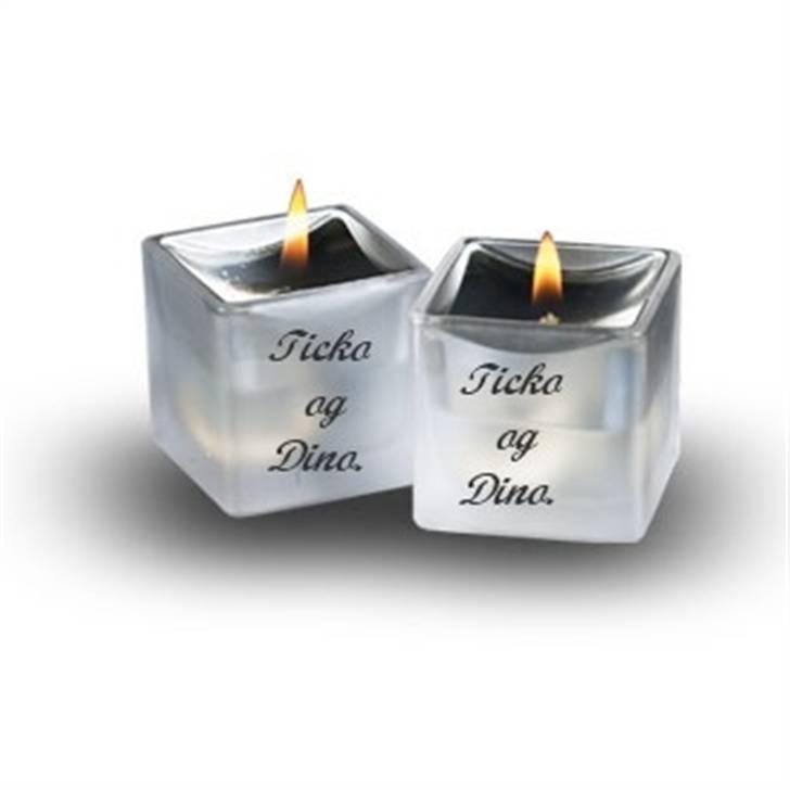 Collie langhåret Dino - Ticko og Dino billede 7