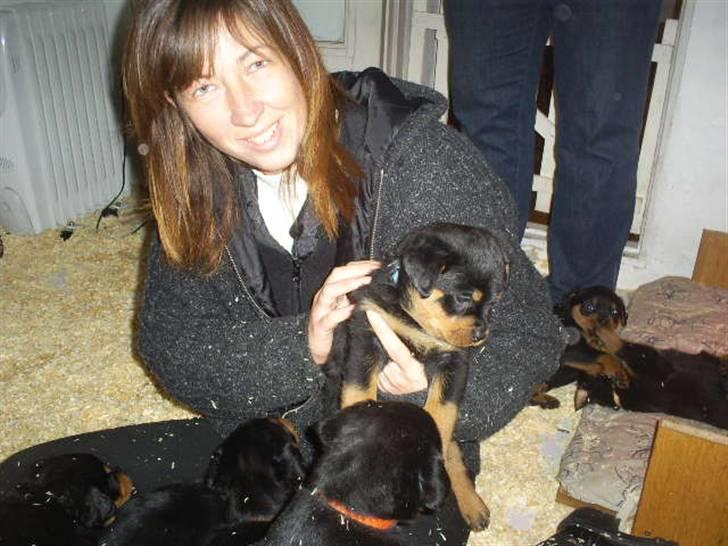 Rottweiler Shanti *R.I.P* - Min nye mor er vist lidt vild med mig ;-) billede 7