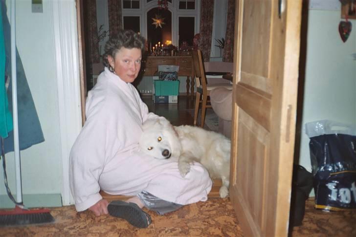 Samojedhund Taiga Himmelhund - When the moon turns to sun you´ll be gone, I don´t know how I can carry on billede 2