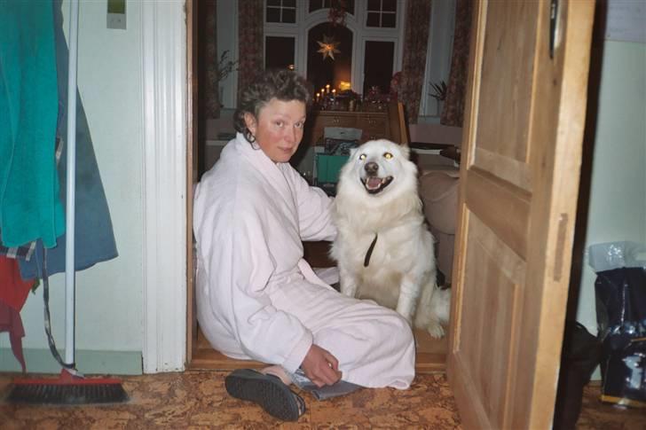 Samojedhund Taiga Himmelhund - If I could I would stop time tonight. It´s time to kiss you goodbye. billede 3