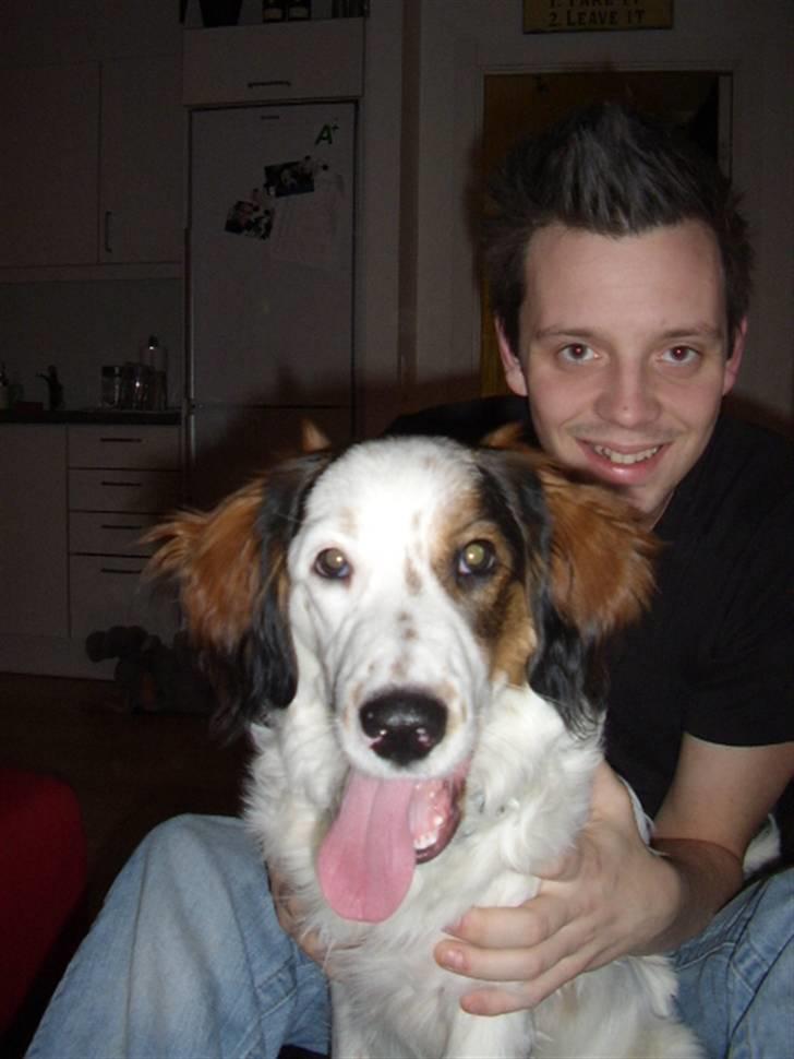 Blanding af racer Bailey billede 15