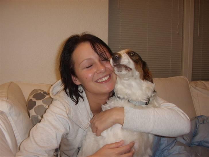 Blanding af racer Bailey billede 17