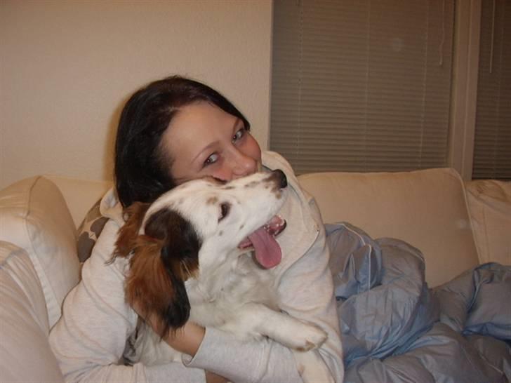 Blanding af racer Bailey billede 18