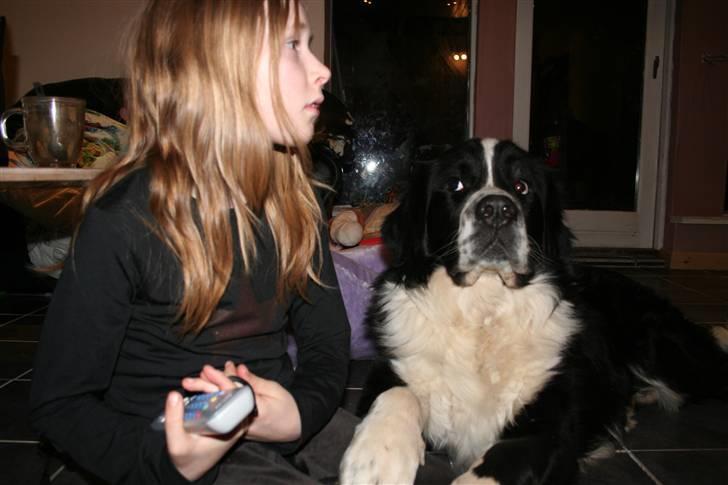 Blanding af racer <3HERCULES<3 billede 13