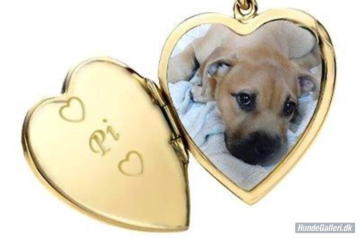 Blanding af racer Pi    R.I.P. billede 11