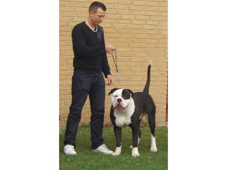 {{currentPhoto.altText}} billede {{currentPhoto.number}}