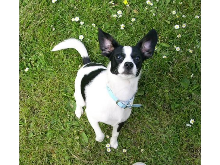 {{currentPhoto.altText}} billede {{currentPhoto.number}}