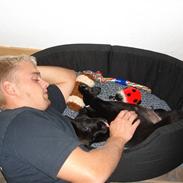 Blanding af racer MAX