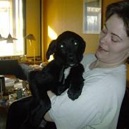 Newfoundlænder lady