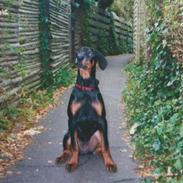 Blanding af racer sandy